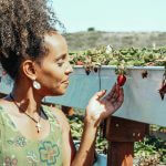 Strawberry Fields Forever: Amie Whittemore’s “Nest of Matches”