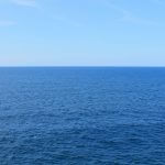 What Moby Dick Still Teaches Us